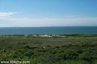 55 Lighthouse Rd, Aquinnah, MA 02535 - photo 2