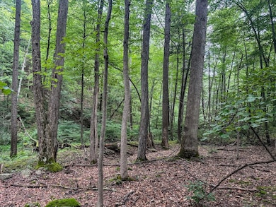 Tbd Laurel Dale Rd, New Creek, WV 26743 - photo 2