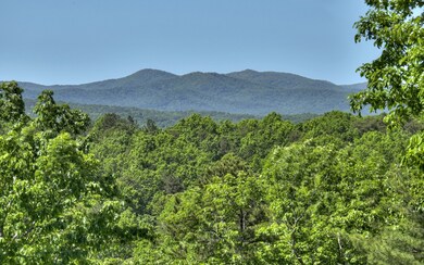 Additional View