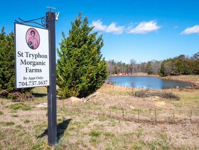 214 Currence Rd, Clover, SC 29710 - photo 2