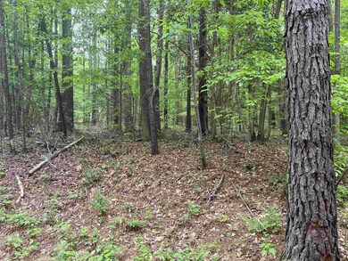 123 Santee Dr, Cypress Creek, NC 27549 - photo 3