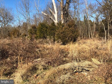 16314 John Marshall Hwy, Broad Run, VA 20137 - photo 6