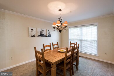 4956 Lockard Dr, Owings Mills, MD 21117 - photo 6