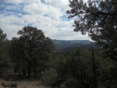 33817 Turkey Creek Ln unit B 67, Trinidad, CO 81082 - photo 6