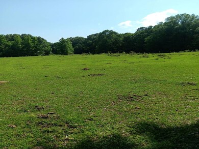 View of local wilderness with a rural view