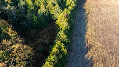 Oak Forest Rd, Bland, MO 65014 - photo 2