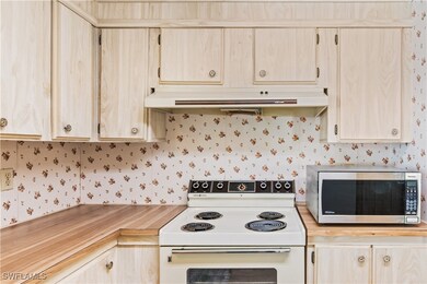 243 Poinsettia Dr, Fort Myers, FL 33905 - photo 3