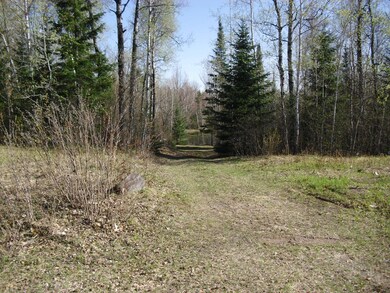 W9080 Blackhawk Rd, Tomahawk, WI 54487 - photo 2