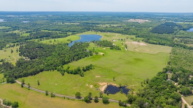 550 County Road 4413, Ben Wheeler, TX 75754 - photo 2