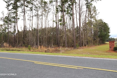 0 Cromartie Rd, Elizabethtown, NC 28337 - photo 3