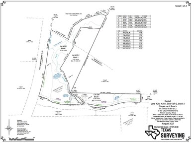 1021 Stagecoach Ranch Dr, Weatherford, TX 76085 - photo 3