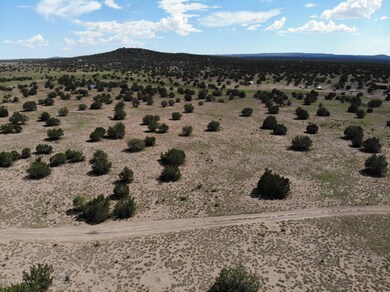 0 30207279d unit 1023068, Ash Fork, AZ 86320 - photo 3