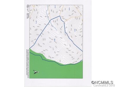 Topo from Madison GIS