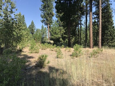 Camping is Allowed 7 Months a Year