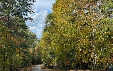 Lt 56,57 Hemlock Dr, Suches, GA 30572 - photo 6