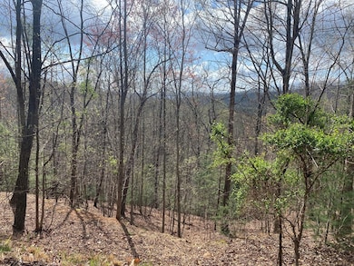 Lot 62 Jitterbug Ln, Murphy, NC 28906 - photo 2