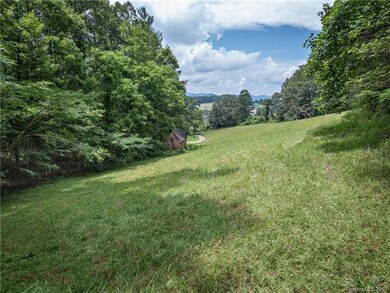 0000 Jones Rd, Leicester, NC 28748 - photo 4