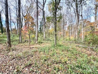 00 W Highway 27 Hwy, Lincolnton, NC 28092 - photo 3