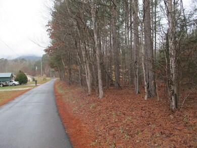 0 SW Baker Rd, Dalton, GA 30721 - photo 7