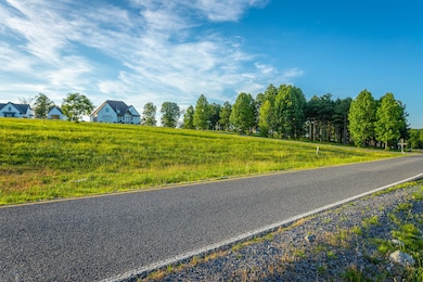 0 Whippoorwill Way unit 1515716, South Pittsburg, TN 37380 - photo 6