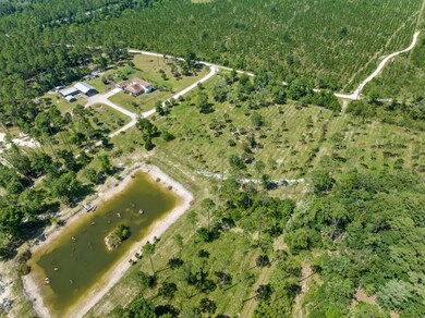 7450 Coastal Hwy, Crawfordville, FL 32327 - photo 5