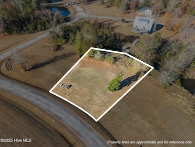 0 Winterberry unit 100543805, Washington, NC 27889 - photo 2
