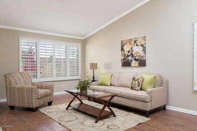 Plantation Shutters throughout