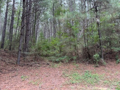 TBD Cemetery Rd, Tylertown, MS 39667 - photo 3