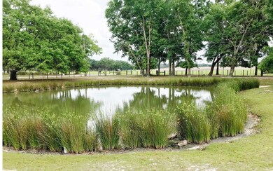 346 SW Count Ct, Lake City, FL 32025 - photo 5