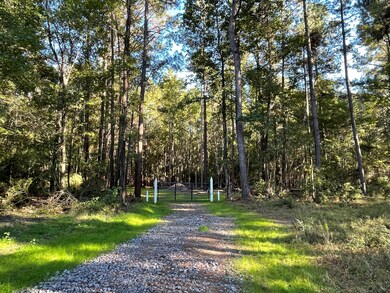 IMG_0225