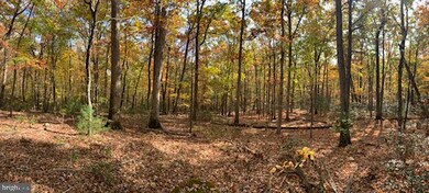 0 Barb unit VASH120806, Basye, VA 22844 - photo 2