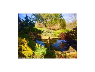 KOI pond