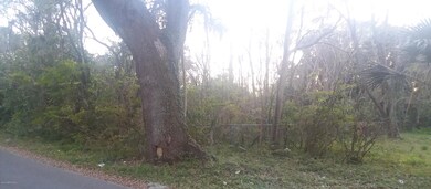 0 Cemetery Rd unit 981377, Jacksonville, FL 32210 - photo 3