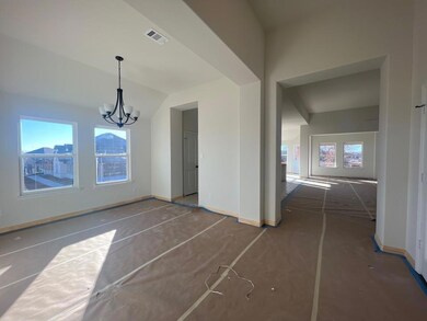 1029 Northern Oaks Ct, Springtown, TX 76082 - photo 2