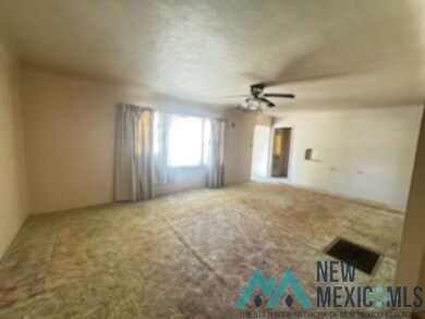 812 N Edwards St, Carlsbad, NM 88220 - photo 3