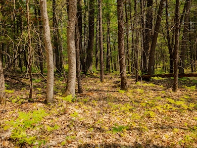 Parcel 2 E Koenig Rd, Free Soil, MI 49411 - photo 4