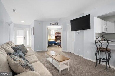 14301 Tunnel Ave unit 3E, Ocean City, MD 21842 - photo 5