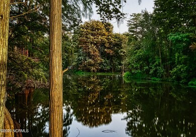 003_p3011145_1