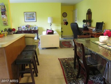 3714 N Rosser St unit 102, Alexandria, VA 22311 - photo 5