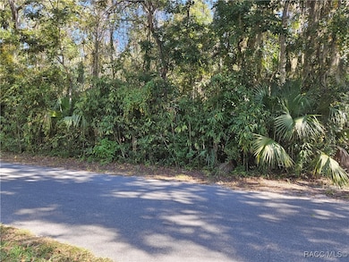 835 N Gardenview Terrace, Crystal River, FL 34429 - photo 2