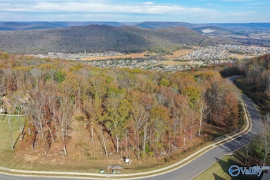 2 Watson Grande Way, Owens Cross Roads, AL 35763 - photo 6