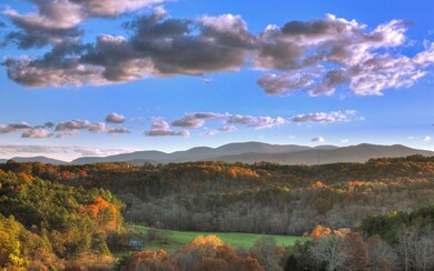 215 The Bluff, Morganton, GA 30560 - photo 3