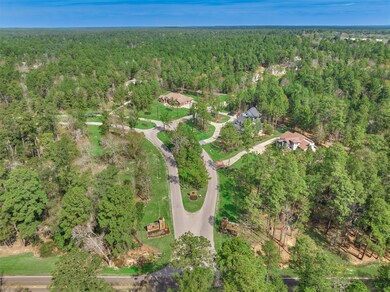 498 Lonestar Rd, Huntsville, TX 77340 - photo 6