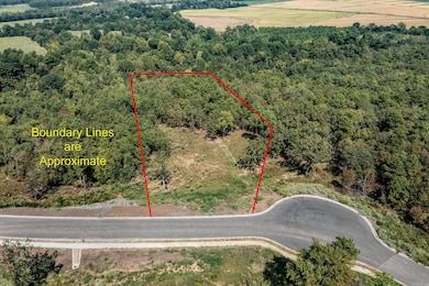 Lot 85 Summit View Ln, Maumelle, AR 72113 - photo 5