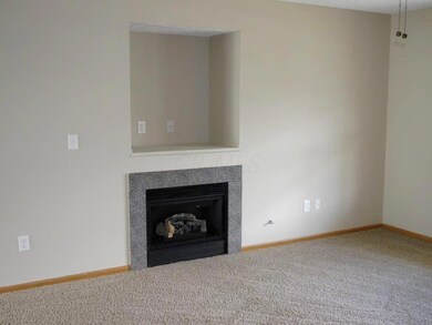 Gas Fireplace