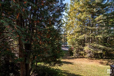 Raccoon4InLakePlacid_Deck_View
