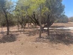 3045 Deer Ct, Weatherford, TX 76085 - photo 6