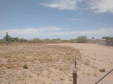 SAGUARO LAND3