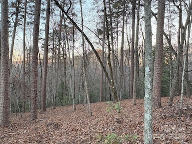 0 Polk County Line Rd unit CAR4322690, Rutherfordton, NC 28139 - photo 6