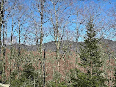 00 Ice Pond Rd, Chittenden, VT 05763 - photo 5